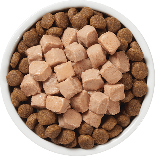 پوچ سگ بدون غلات اینستینکت Instinct Healthy Cravings