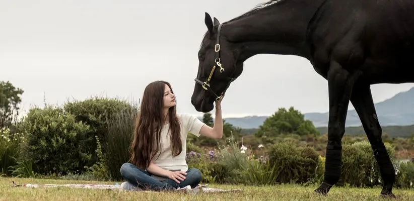 زیبای سیاه (Black Beauty)