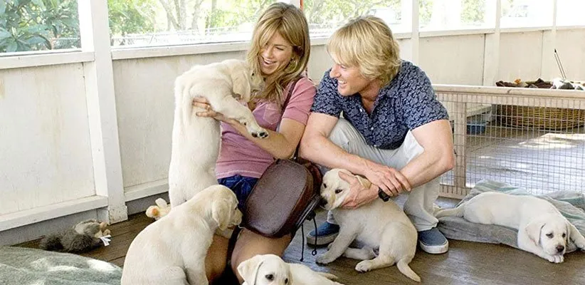 مارلی و من (Marley & Me)