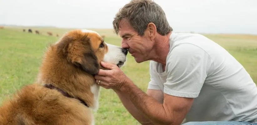 هدف یک سگ (A Dog’s Purpose)