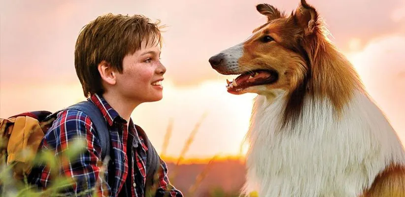لسی (Lassie)