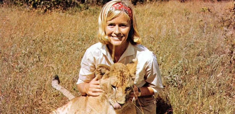آزاد متولد شده (Born Free)