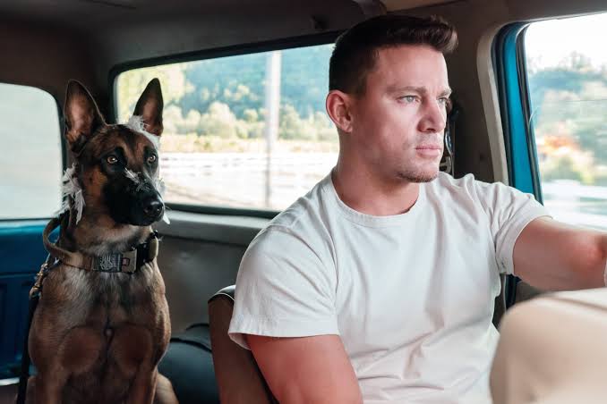 فیلم سگ (Dog)